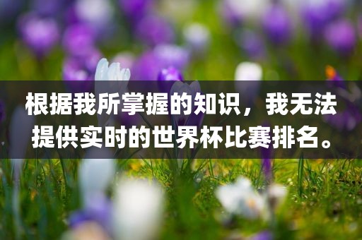 根据我所掌握的知识，我无法提供实时的世界杯比赛排名。眉山市正发家政服务有限公司