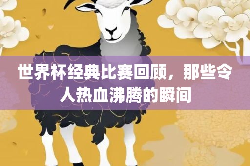 世界杯经典比赛回顾，那些令人热血沸腾的瞬间眉山市正发家政服务有限公司