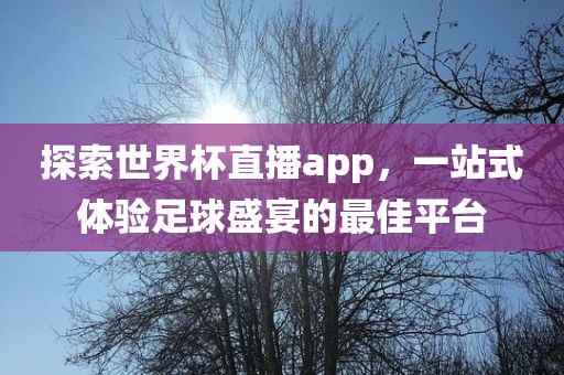 探索世界杯直播app，一站式体验足球盛宴的最佳平台