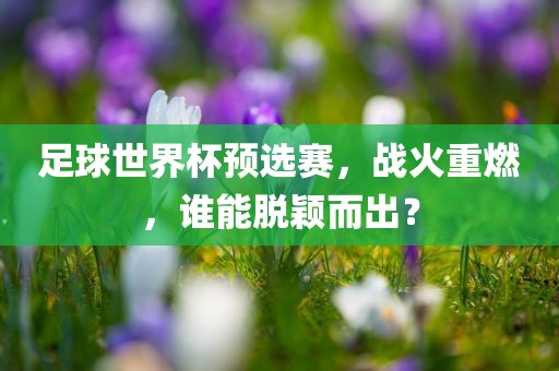 足球世界杯预选赛，战火重燃，谁能脱颖而出？眉山市正发家政服务有限公司