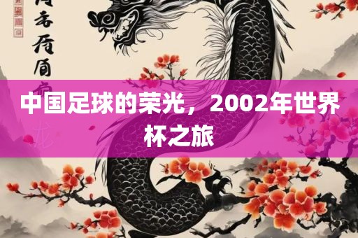中国足球的荣光，2002年世界杯之旅眉山市正发家政服务有限公司