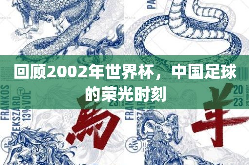 回顾2002年世界杯，中国足球的荣光时刻眉山市正发家政服务有限公司