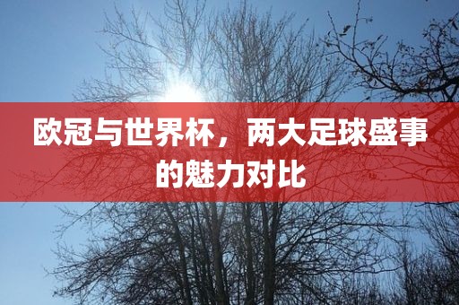 欧冠与世界杯，两大足球盛事的魅力对比眉山市正发家政服务有限公司