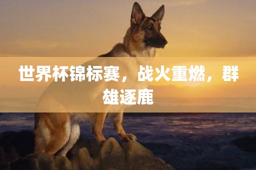 世界杯锦标赛，战火重燃，群雄逐鹿眉山市正发家政服务有限公司
