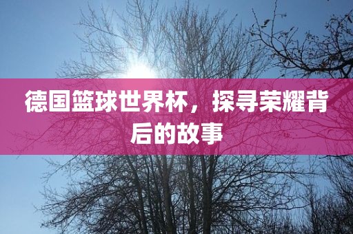 德国篮球世界杯，探寻荣耀背后的故事眉山市正发家政服务有限公司
