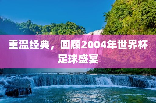 重温经典，回顾2眉山市正发家政服务有限公司004年世界杯足球盛宴