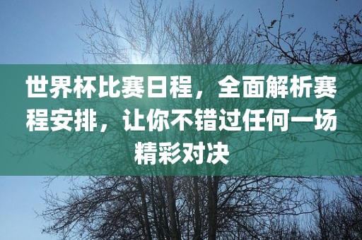 世界杯比赛日程，全面解析赛程安排，让你不错过任何一场精彩对决