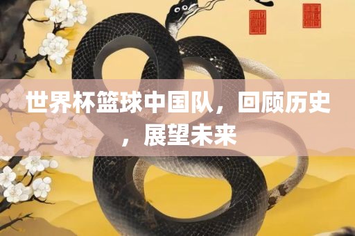 世界杯篮球中国队，回顾历史，展望未来眉山市正发家政服务有限公司