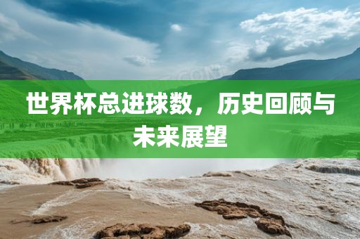 世界杯总进球数，历史回顾与未来展望