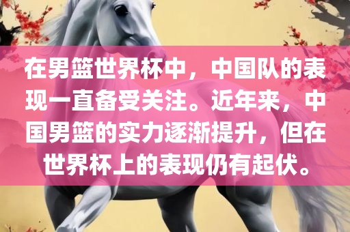 中国男篮表现