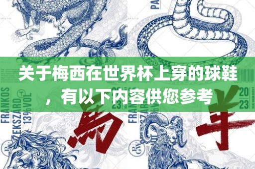 关于梅西在世界杯上穿的球鞋，有以下内容供您参考眉山市正发家政服务有限公司