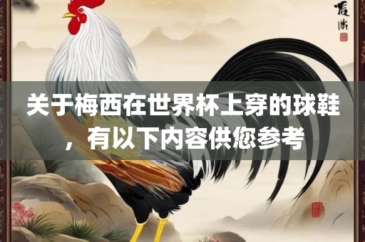 关于梅西在世界杯上穿的球鞋，有以下内容供您参考
