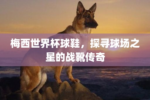 梅西世界杯球鞋，探寻球场之星的战靴传奇眉山市正发家政服务有限公司