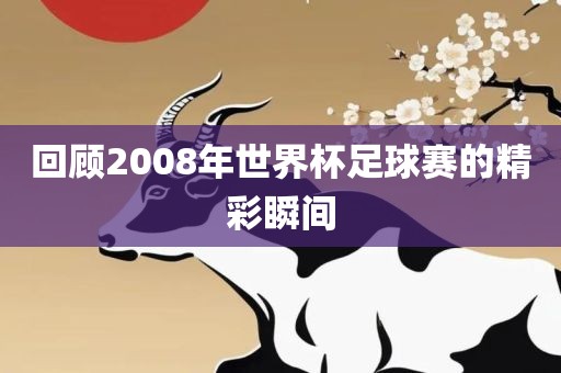 回顾2008年世界杯足球赛的精彩瞬间眉山市正发家政服务有限公司