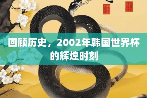回顾历史，2002年韩国世界杯的辉煌时刻
