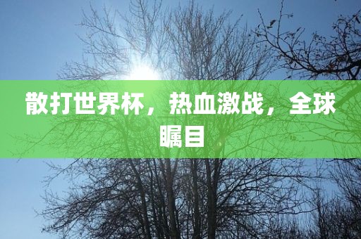 散打世界杯，热血激战，全球瞩目