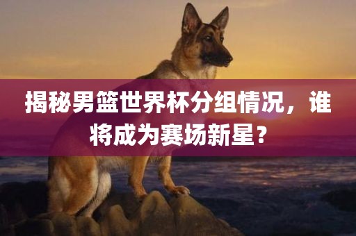 揭秘男篮世界杯分组情况，谁将成为赛场新星？