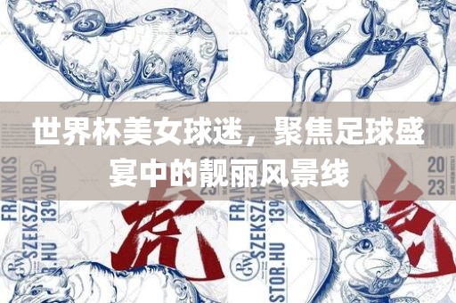 世界杯美女球迷，聚焦足球盛宴中的靓丽风景线眉山市正发家政服务有限公司
