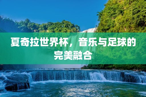 夏奇拉世界杯，音乐与足球的完美融合眉山市正发家政服务有限公司
