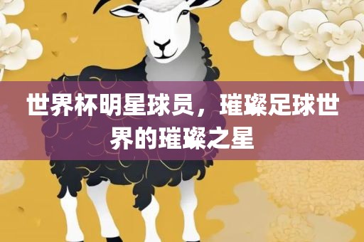 世界杯明星球员，璀璨足眉山市正发家政服务有限公司球世界的璀璨之星