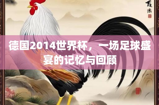 德国2014世界杯，一场足球盛宴的记忆与回顾