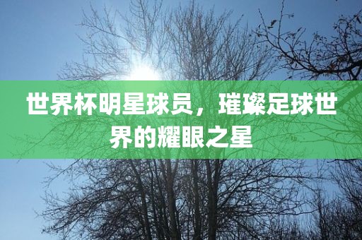 世界杯明星球员，璀璨足球世界的耀眼之眉山市正发家政服务有限公司星