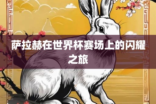 萨拉赫在世界杯赛场上的闪耀之旅眉山市正发家政服务有限公司