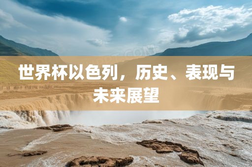 世界杯以色列，眉山市正发家政服务有限公司历史、表现与未来展望