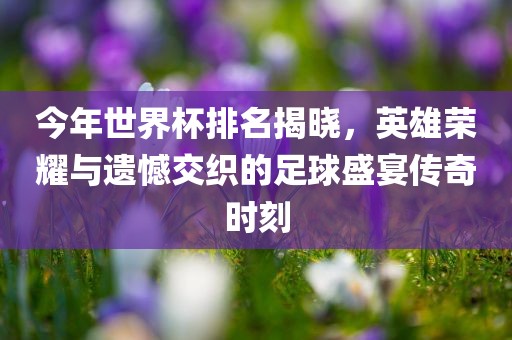 今年世界杯排名揭晓，英雄荣耀与遗憾交织的足球盛宴传奇时刻眉山市正发家政服务有限公司