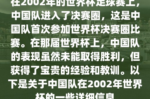 在2002年的世界杯足球赛上，中国队进入了决赛圈，这是中国队首次参加世界杯决赛圈比赛。在那届世界杯上，中国队的表现虽然未能取得胜利，但获得了宝贵的经验和教训。以下是关于中国队在2002年世界杯的一些详细信息