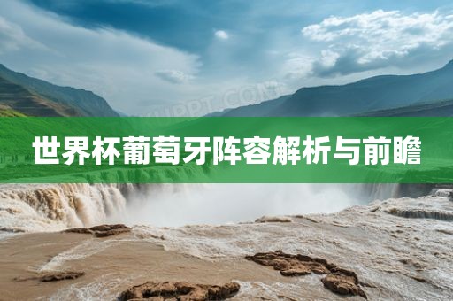 世界杯葡萄牙阵容解析与前瞻眉山市正发家政服务有限公司