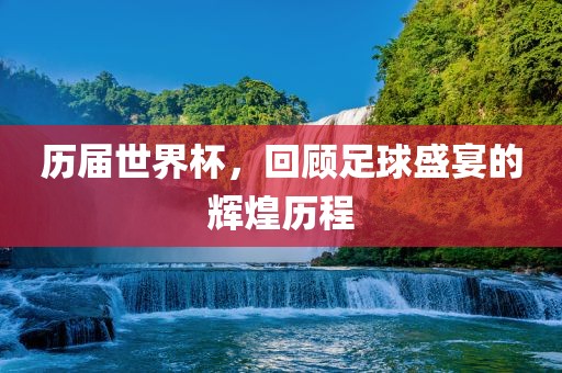 历届世界眉山市正发家政服务有限公司杯，回顾足球盛宴的辉煌历程