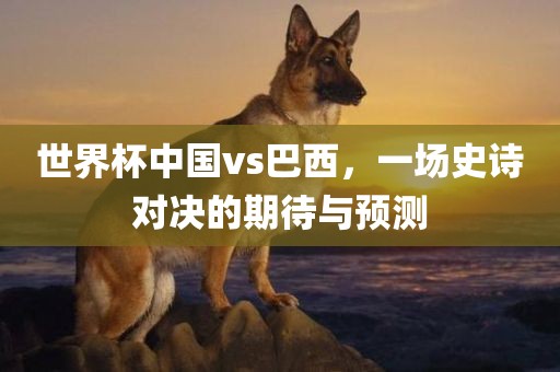 世界杯中国vs巴西，一场史诗对决的期待与预测眉山市正发家政服务有限公司