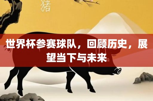 世界杯参赛球队，回顾历史，展望当下与未来眉山市正发家政服务有限公司