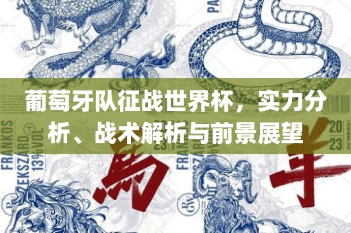 葡萄牙队征战世界杯，实力分析、战术解析与前景展望眉山市正发家政服务有限公司