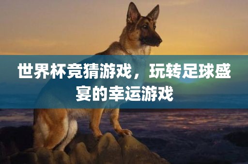 世界杯竞猜游戏，玩转足球盛宴的幸运游戏