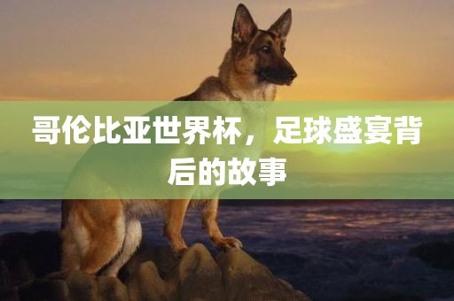 哥伦比亚世界杯，足球盛宴背后的故事