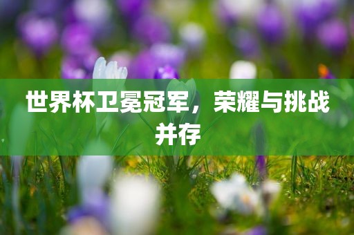 世界杯卫冕冠军，荣耀与挑战并存