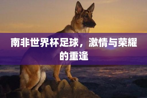 南非世界杯足球，激情与荣耀的重逢