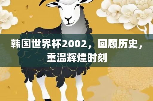 韩国世界杯2002，回顾历史，重温辉煌时刻眉山市正发家政服务有限公司