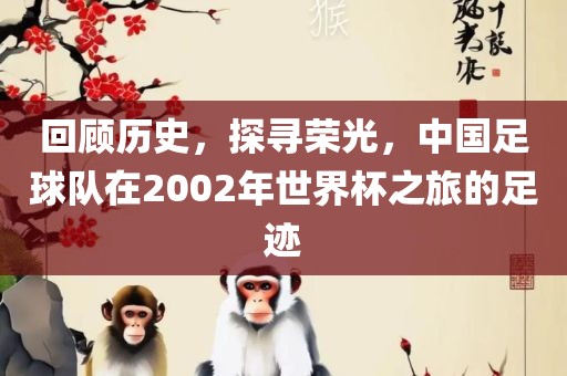 回顾历史，探寻荣光，中国足球队在2002年世界杯之旅的足迹眉山市正发家政服务有限公司