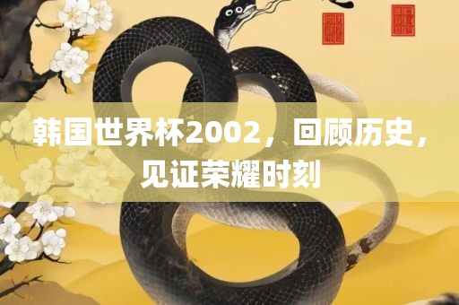 韩国世界杯2002，回顾历史，见证荣耀时刻