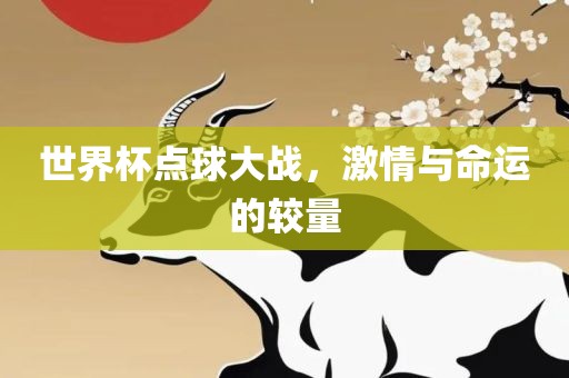 世界杯点球大战，激情与命运的较量