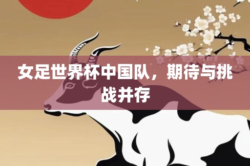 女足世界杯中国队，期待与挑战并存眉山市正发家政服务有限公司