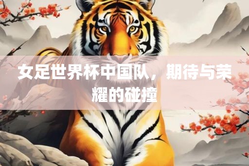 女足世界杯中国队，期待与荣耀的碰撞