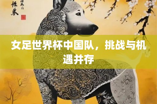 女足世界杯中国队，挑战与机遇并存眉山市正发家政服务有限公司