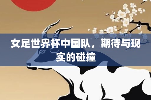 女足世界杯 第4页