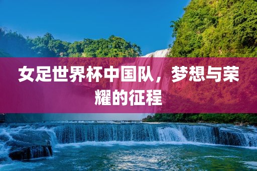 女足世界杯中国队，梦想与荣耀的征程眉山市正发家政服务有限公司