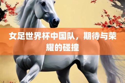 女足世界杯中国队，期待与荣耀的碰撞