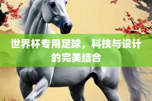 世界杯专用足球，科技与设计的完美结合